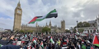 Stop The War: Unacceptable to link Golders Green attack with Palestine rallies