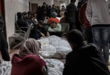 Israel accepts Gaza death toll figures for the first time, report claims