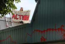 Palestine Action continues direct action as UK rushes ban through Parliament