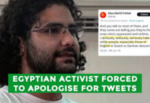 Freed British-Egyptian activist Alaa Abd el-Fattah apologises for past social media posts