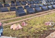 Muslim cemetery desecrated after mass shooting on Bondi Beach
