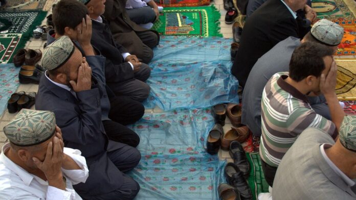 Blue Modern Eye Catching Vlog YouTube Thumbnail (57)