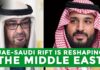 Why have Saudi Arabia and the UAE fallen out?