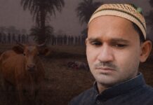 Indian Muslim killed by Hindutva mob over alleged cattle theft