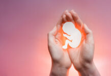 Activists hopeful as bid to stop ‘extreme’ abortion up to birth law planned in House of Lords