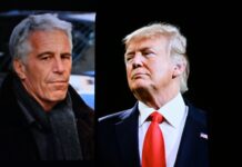 Epstein Files: The peadophile is dead, but the system that protected him isn’t