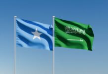 Somalia and Saudi Arabia sign defence cooperation deal