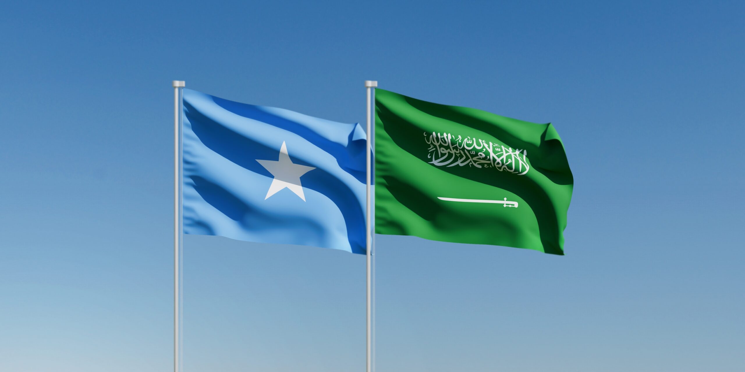 Somalia and Saudi Arabia sign defence cooperation deal