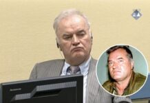 Convicted war criminal and architect of Bosnian genocide, Ratko Mladić, dies aged 84